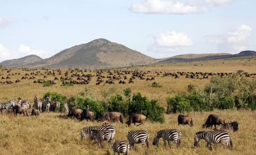 9-Day Big Kenya Safari – Mid-Range