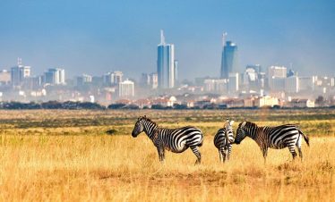 ½-Day Nairobi Tour